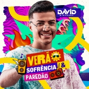 DAVID MIRANDA - VERAO SOFRÊNCIA E PAREDÃO